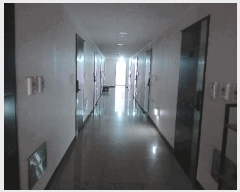 2025Ÿ��42627 ��� ���ý� ���굿 815-5 �ƶ�Ʈ��� 9��901ȣ     �ܵ�(ȣ��)���