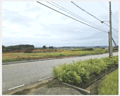  2025Ÿ��42652 ��� ���ý� ������ ���� 433-10      ����(��)���