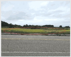  2025Ÿ��42652 ��� ���ý� ������ ���� 433-10      ����(��)���