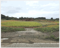  2025Ÿ��42652 ��� ���ý� ������ ���� 433-10      ����(��)���