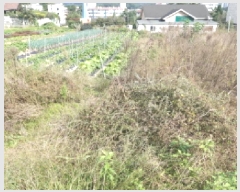  2025Ÿ��42690 ��� �ȼ��� ������ ������ 223-117      ����(������)���