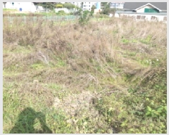  2025Ÿ��42690 ��� �ȼ��� ������ ������ 223-117      ����(������)���