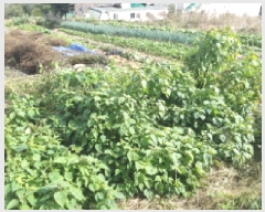  2025Ÿ��42690 ��� �ȼ��� ������ ������ 223-117      ����(������)���