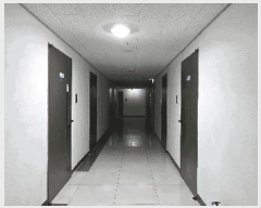  2025Ÿ��43019  ����Ʈ���