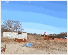  2025Ÿ��43025 ��� ���ý� ������ �׸� 363-4      ������