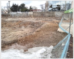  2025Ÿ��219  �������