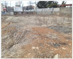  2025Ÿ��219  �������