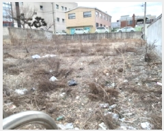  2025Ÿ��219  �������