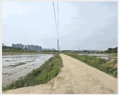  2025Ÿ��594  ����