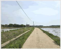  2025Ÿ��594  ����