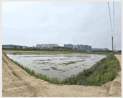  2025Ÿ��594  ����