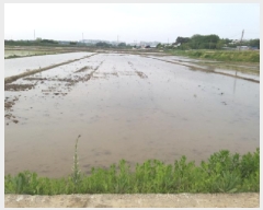  2025Ÿ��594  ����