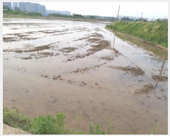  2025Ÿ��594  ����