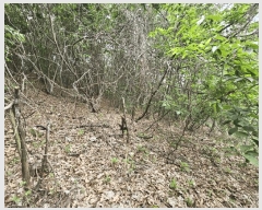  2025Ÿ��627 ��� ���ý� ���굿 ��73-3       ����(�Ӿ�)���