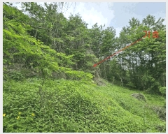  2025Ÿ��627 ��� ���ý� ���굿 ��73-3       ����(�Ӿ�)���