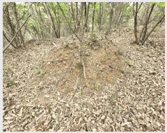  2025Ÿ��627 ��� ���ý� ���굿 ��73-3       ����(�Ӿ�)���