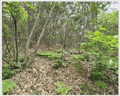  2025Ÿ��627 ��� ���ý� ���굿 ��73-3       ����(�Ӿ�)���