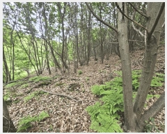  2025Ÿ��627 ��� ���ý� ���굿 ��73-3       ����(�Ӿ�)���