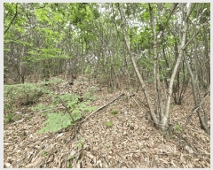  2025Ÿ��627 ��� ���ý� ���굿 ��73-3       ����(�Ӿ�)���