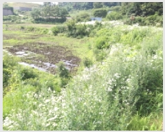  2025Ÿ��665  ����