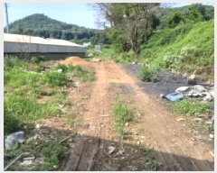  2025Ÿ��665  ����