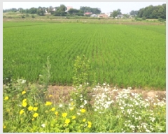  2025Ÿ��665  ����