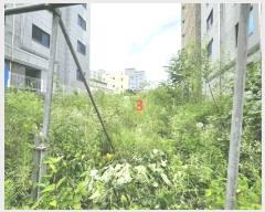  2025Ÿ��723 ��� ���ý� ���굿 864-30       ����(����)���