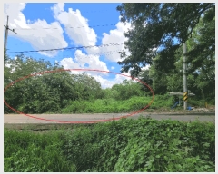  2025Ÿ��782 ��� ���ý� ������ ���ฮ 310-4      ����(��1)���