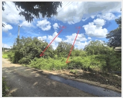  2025Ÿ��782 ��� ���ý� ������ ���ฮ 310-4      ����(��1)���