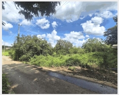  2025Ÿ��782 ��� ���ý� ������ ���ฮ 310-4      ����(��1)���