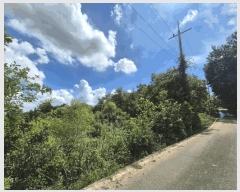  2025Ÿ��782 ��� ���ý� ������ ���ฮ 310-4      ����(��1)���