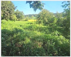  2025Ÿ��782 ��� ���ý� ������ ���ฮ 310-4      ����(��1)���