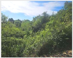  2025Ÿ��782 ��� ���ý� ������ ���ฮ 310-4      ����(��1)���