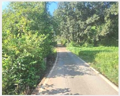  2025Ÿ��782 ��� ���ý� ������ ���ฮ 310-4      ����(��1)���