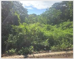  2025Ÿ��782 ��� ���ý� ������ ���ฮ 310-4      ����(��1)���