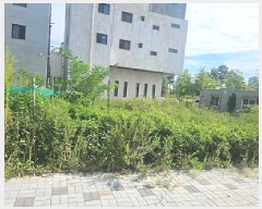  2025Ÿ��809  �������