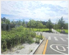  2025Ÿ��809  �������