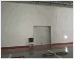  2025Ÿ��825  ����Ʈ��������