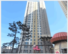  2025Ÿ40699  ȼ   116-26, 101 232303ȣ ()   Ʈ