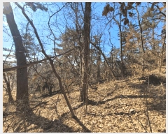  2025Ÿ��41005 ��� ���ý� ������ ��긮 ��37-1      ����(�Ӿ�)���