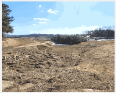  2025Ÿ��41005 ��� ���ý� ������ ��긮 ��37-1      ����(�Ӿ�)���