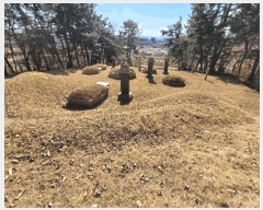  2025Ÿ��41005 ��� ���ý� ������ ��긮 ��37-1      ����(�Ӿ�)���