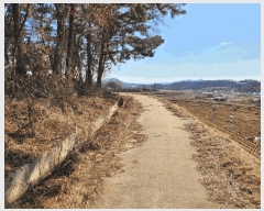  2025Ÿ��41005 ��� ���ý� ������ ��긮 ��37-1      ����(�Ӿ�)���