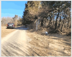  2025Ÿ��41005 ��� ���ý� ������ ��긮 ��37-1      ����(�Ӿ�)���