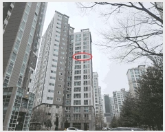  2025Ÿ41111  ȼ   142, 108 121201ȣ (νƼ)   Ʈ