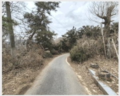  2025Ÿ��41328 ��� �ȼ��� ����� ������ 110      ����(��)���