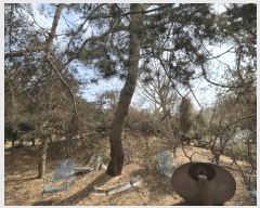  2025Ÿ��41328 ��� �ȼ��� ����� ������ 110      ����(��)���