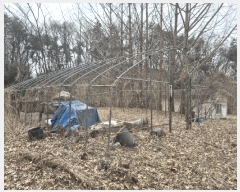  2025Ÿ��41328 ��� �ȼ��� ����� ������ 110      ����(��)���