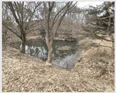  2025Ÿ��41328 ��� �ȼ��� ����� ������ 110      ����(��)���