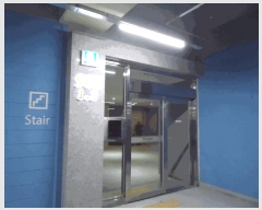  2025Ÿ��41353  ����Ʈ���